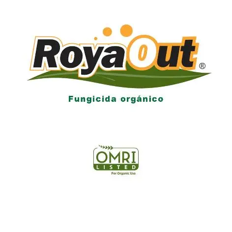 Roya-Out_logo.webp
