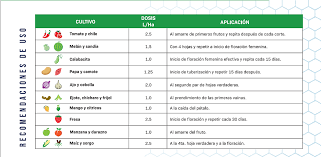 BIO ACTIVO 1L