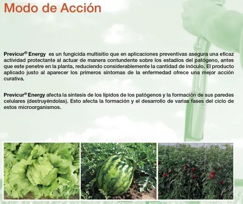 PREVICUR ENERGY 1 LT