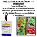 PROZYCAR 1 KG (CARBENDAZIM)
