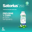 SATORIUS 1L