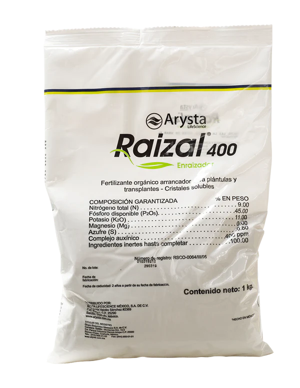 RAIZAL 400 1 KG