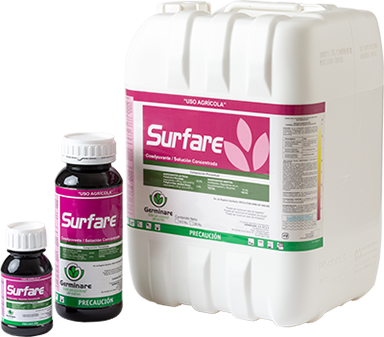 SURFARE 1 LT