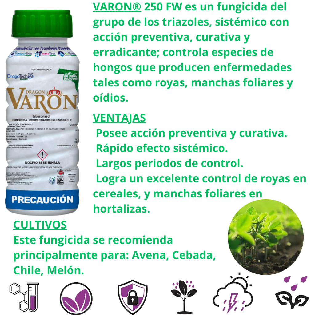 VARON 1 L
