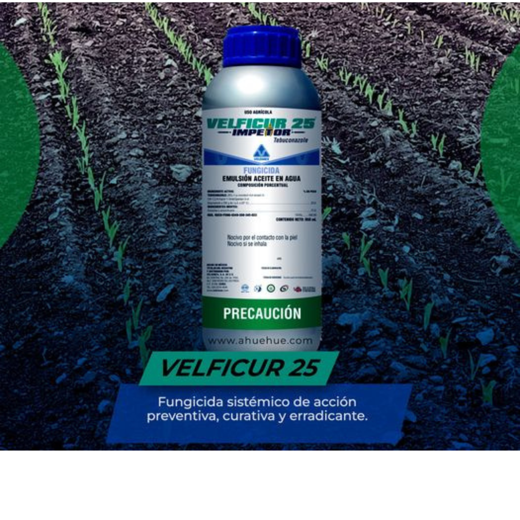 VELFICUR