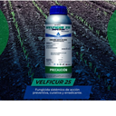 VELFICUR