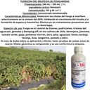 VS-MIC 240 (950 ML)