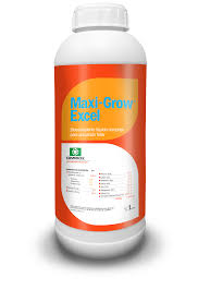 MAXI GROW 1 LT COSMOCEL