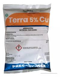 TERRA CU 400 GR (TERRAMICINA 5 %)