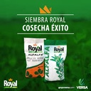 SEMILLA ALFALFA ROYAL TEEN
