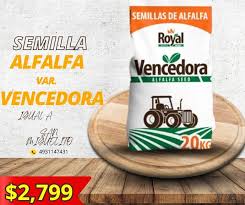 SEMILLA DE ALFALFA VAR. VENCEDORA