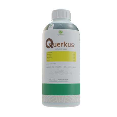 [305] QUERKUS 1L