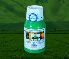 [464] SAGASTIM 200ML