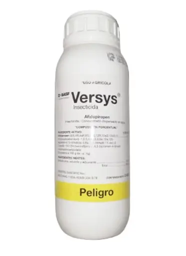 [40550] VERSYS 500ML